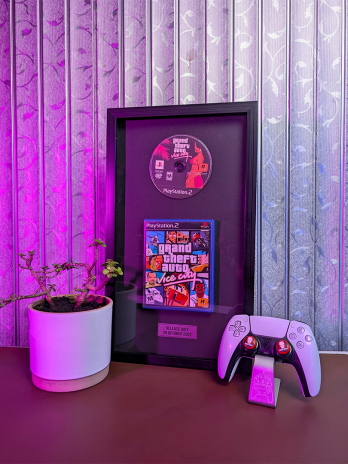 GTA VICE CITY DISC FRAME